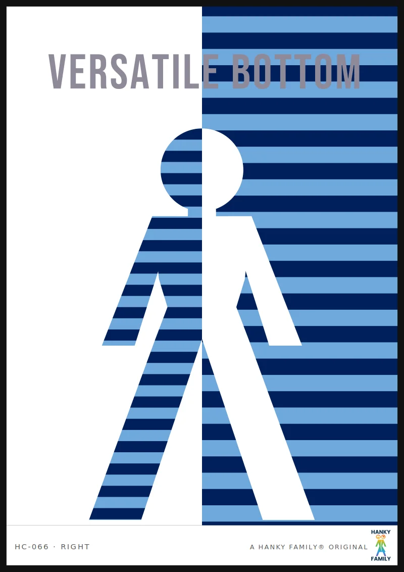 Versatile / Switch — BLUE STRIPE hanky code print, right pocket: VERSATILE BOTTOM